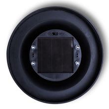 Carica l&#39;immagine nel visualizzatore di Gallery, Lampione Solare a LED da Giardino 2 pz 30 cm con Picchetto