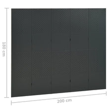 Load image into Gallery viewer, Separè 5 Pannelli Antracite 200x180 cm in Acciaio