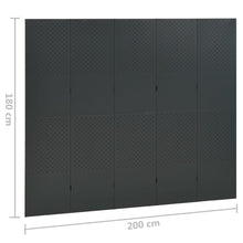 Load image into Gallery viewer, Separè 5 Pannelli 2 pz Antracite 200x180 cm in Acciaio