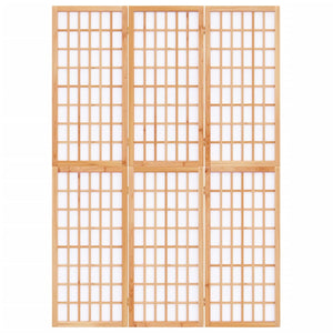 Separè 3 Pannelli Stile Giapponese 120x170cm Nero