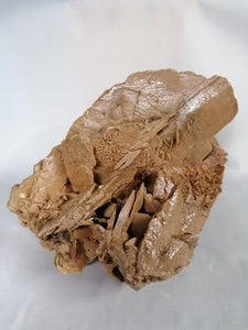 Rosa del deserto